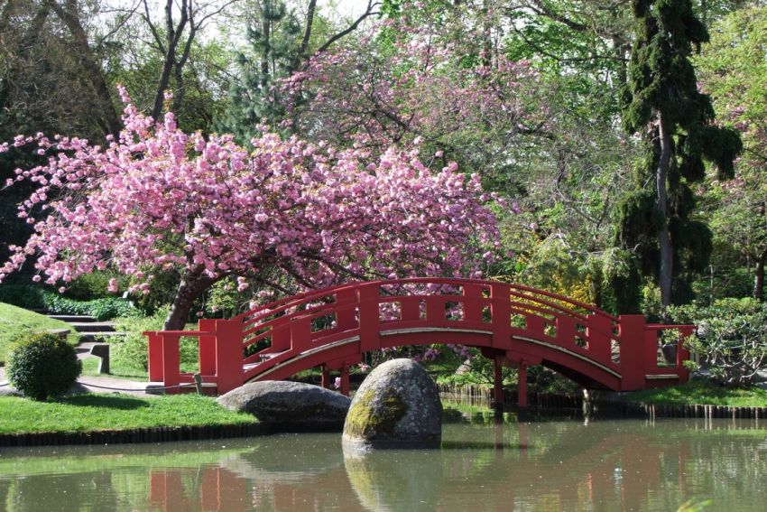 jardin japonais toulouse blog deauville jardin japonais toulouse blog deauville